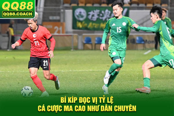 Bí kíp đọc vị tỷ lệ cá cược Ma Cao như dân chuyên