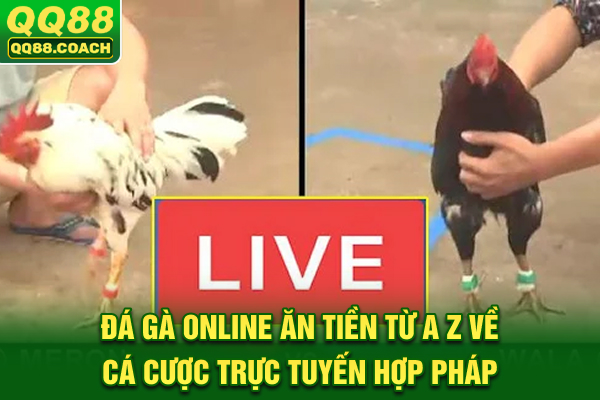 Đá Gà Online Ăn Tiền: Từ A-Z Về Cá Cược Trực Tuyến Hợp Pháp