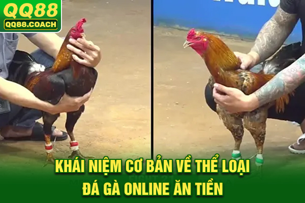 Khái niệm cơ bản về thể loại đá gà online ăn tiền