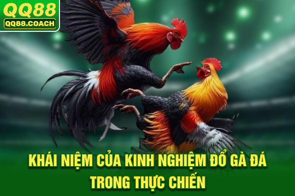 Khái niệm của kinh nghiệm đổ gà đá trong thực chiến